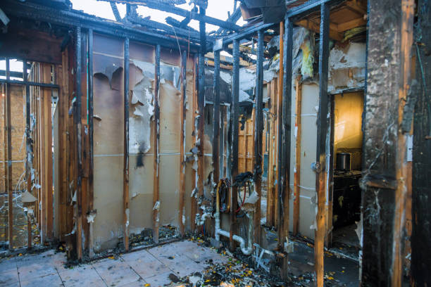 Professional Fire Damage Removal technician working in Hawi, HI